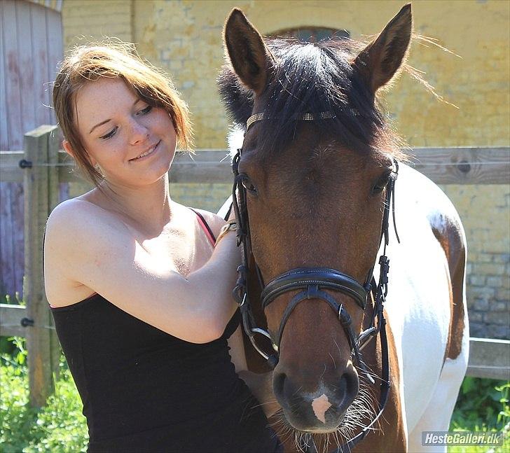 Pinto Munkeborgs Cloudy B-pony - der er aldrig noget der skal komme imellem os! Jeg vil kæmpe for dig, for jeg vil jo ikke af med dig :'( billede 6