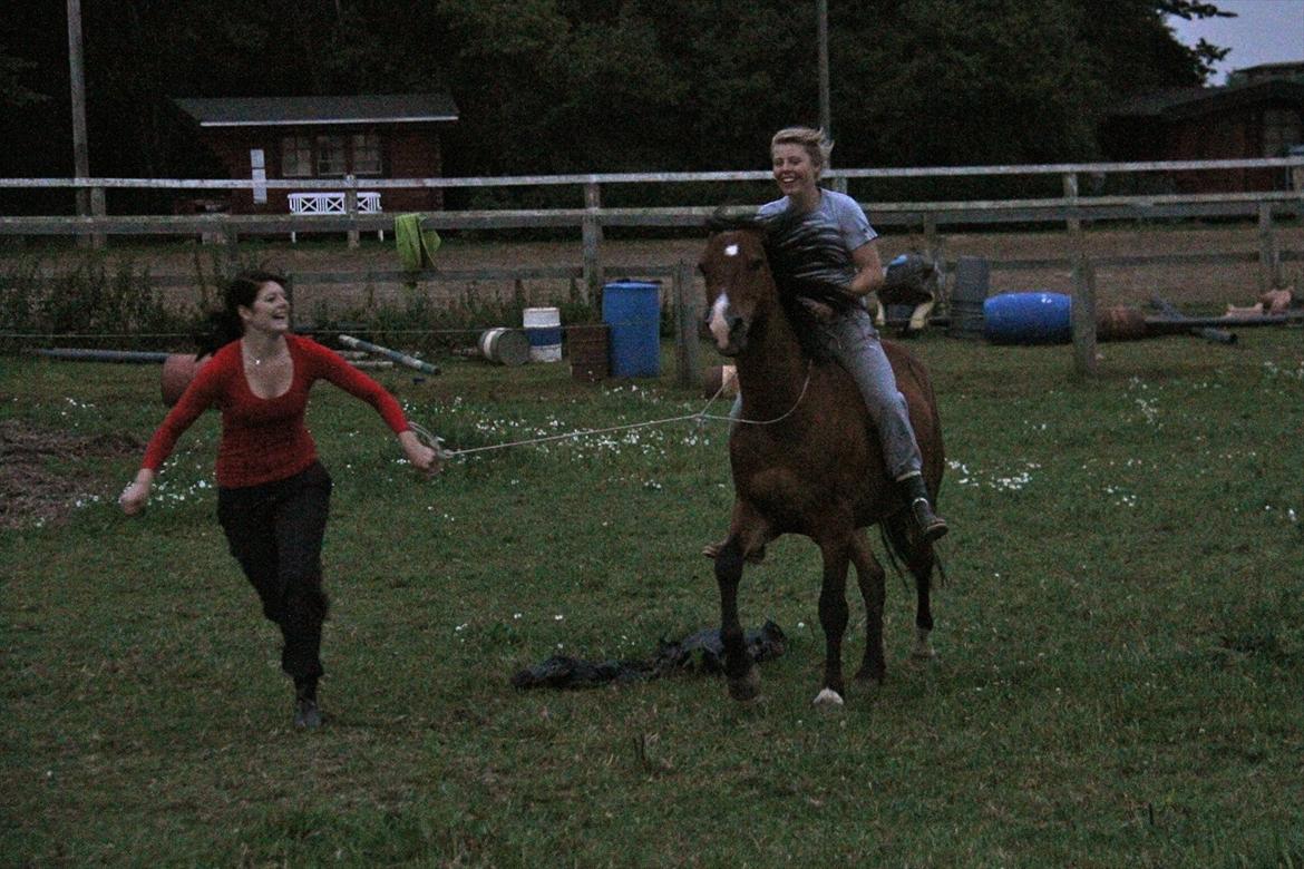 Anden særlig race Sheran - 2 af dem jeg stoler allermest på, dem jeg ved vil støtte mig & dem jeg kan ha' det aller sjovest med! :D Den fantastiske pige som har oplært Sheran sammen med Jannie og Mette. Den pige som vil dele sådan et fantastisk væsen med mig. I er begge fantastiske billede 19