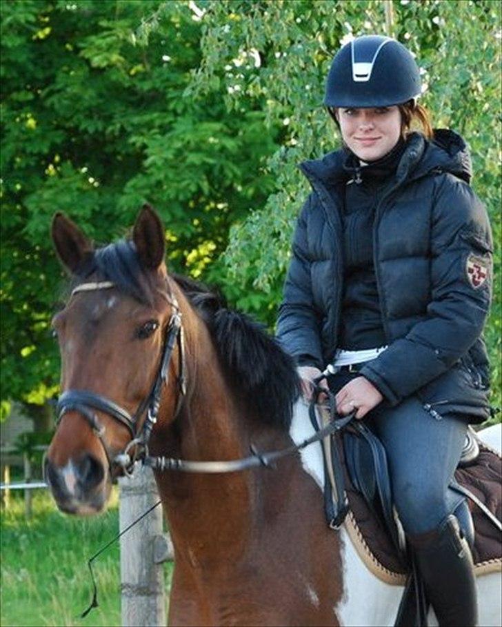 Pinto Munkeborgs Cloudy B-pony - i need you like water, like breath, like rain <3<3 billede 14