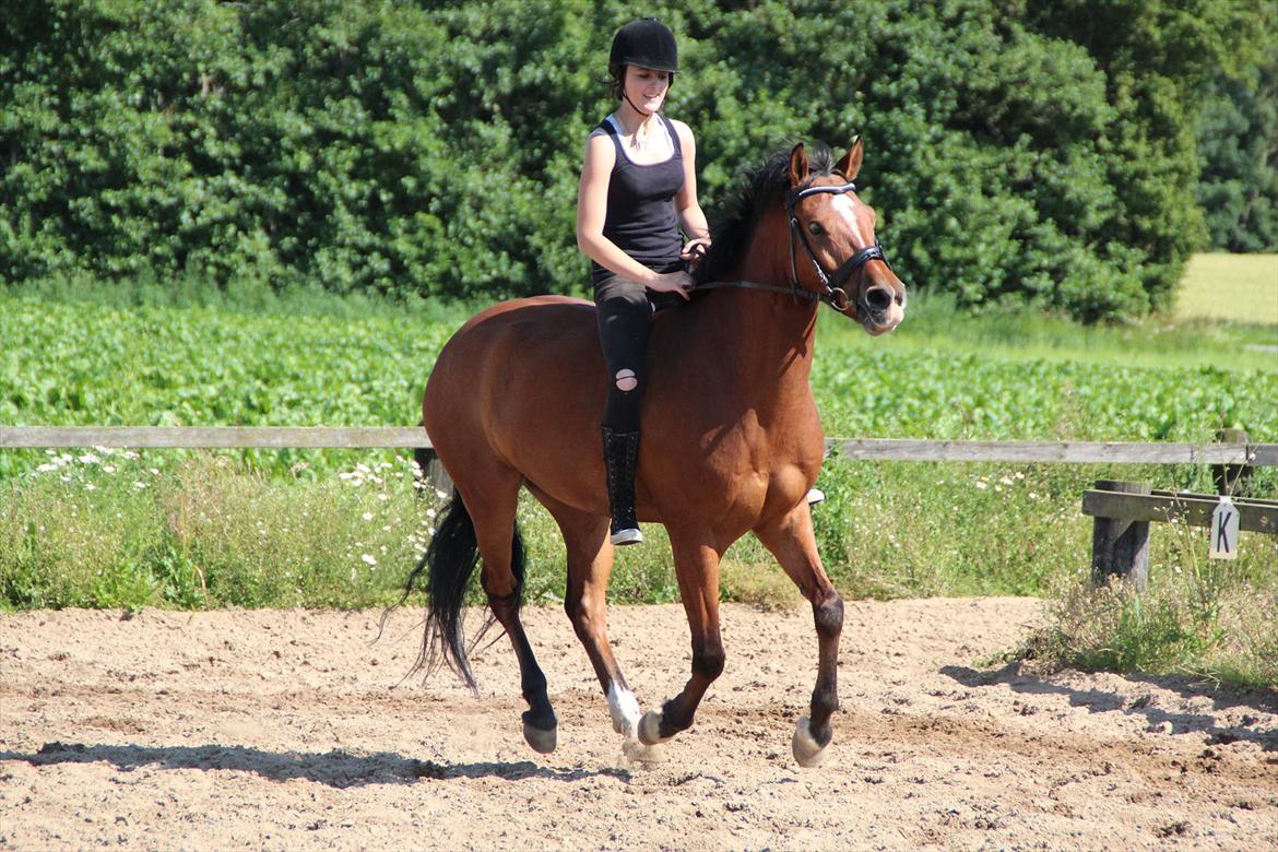 Anden særlig race  Pardo - A Part Of Me! :* -  "A part of you has grown in me. And so you see, it´s you and me, Together forever and never apart, Maybe in distance, but never in heart.". Jegelskerdig! :´D - Foto: Tenna Andersen billede 16