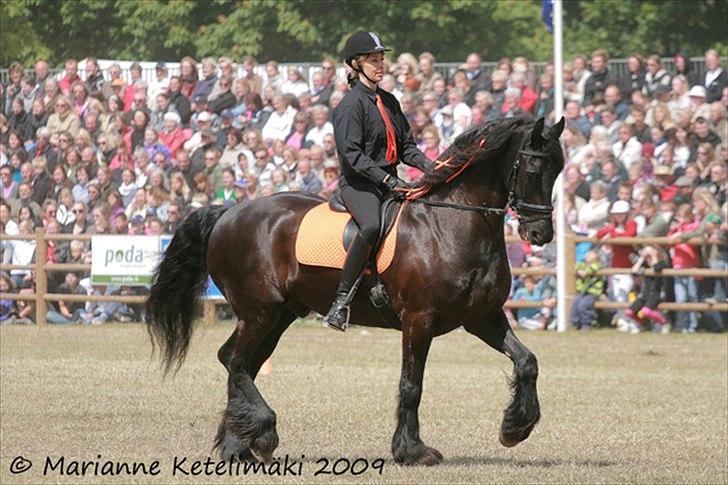 Frieser Lukas billede 18