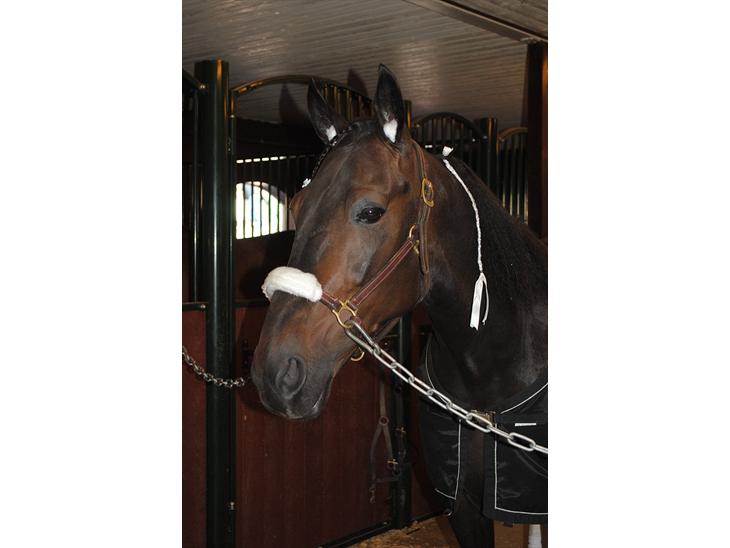 {{currentPhoto.altText}} billede {{currentPhoto.number}}