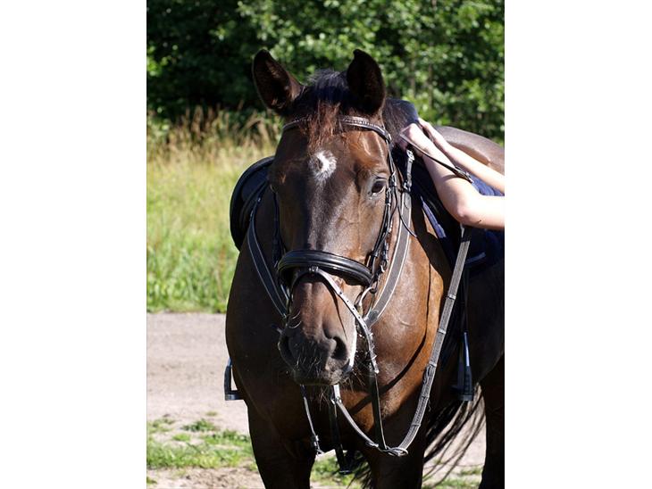 {{currentPhoto.altText}} billede {{currentPhoto.number}}