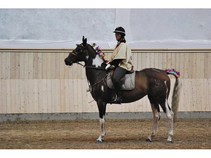 {{currentPhoto.altText}} billede {{currentPhoto.number}}