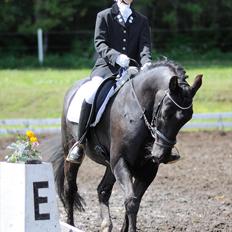 Anden særlig race Whisky<3