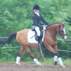 DSP Holmsgaards Cezanne 