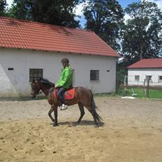 DSP Marain Charming - SOLGT