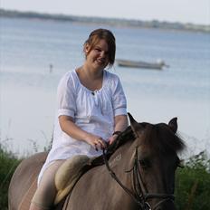 Islænder Sunna fra Vrangbækgård