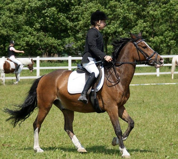 Anden særlig race Victor! billede 10