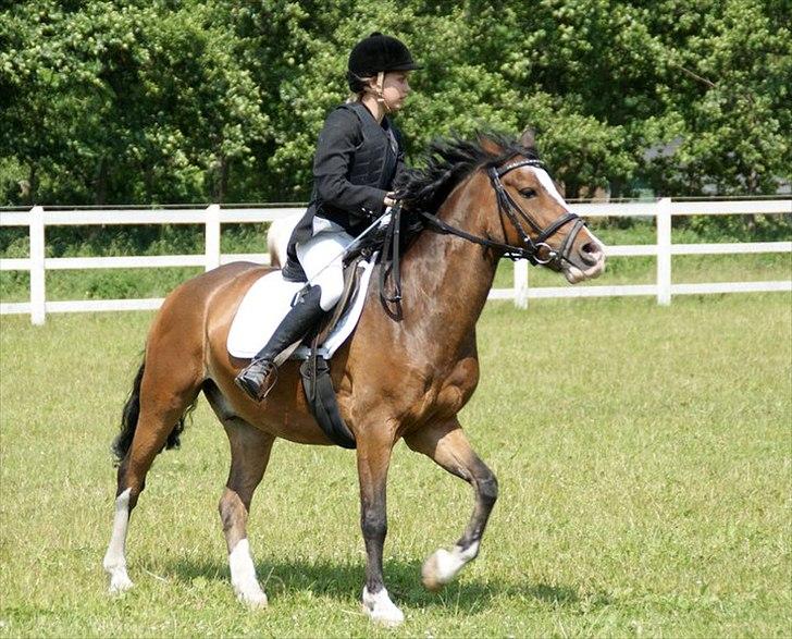 Anden særlig race Victor! billede 11