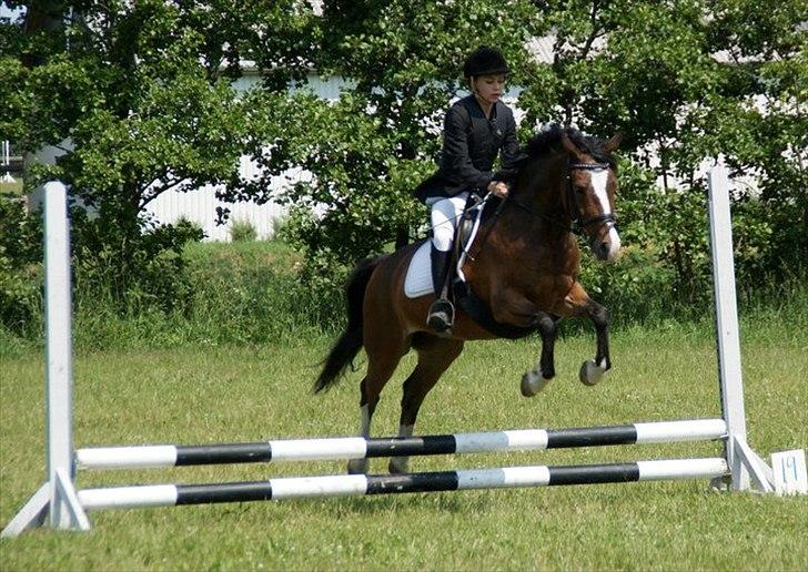 Anden særlig race Victor! billede 12