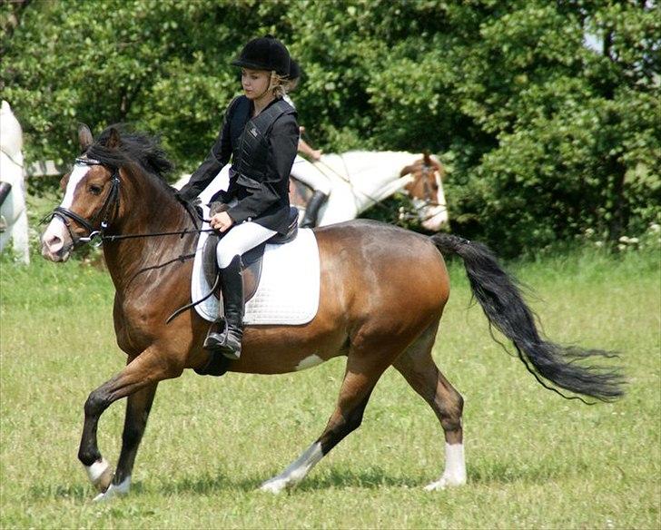 Anden særlig race Victor! billede 13