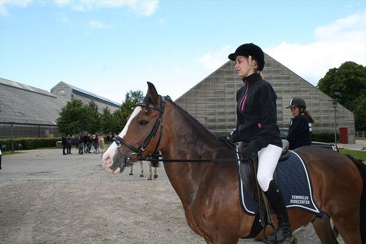 Anden særlig race Victor! billede 15