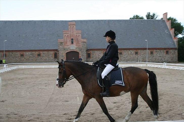 Anden særlig race Victor! billede 17