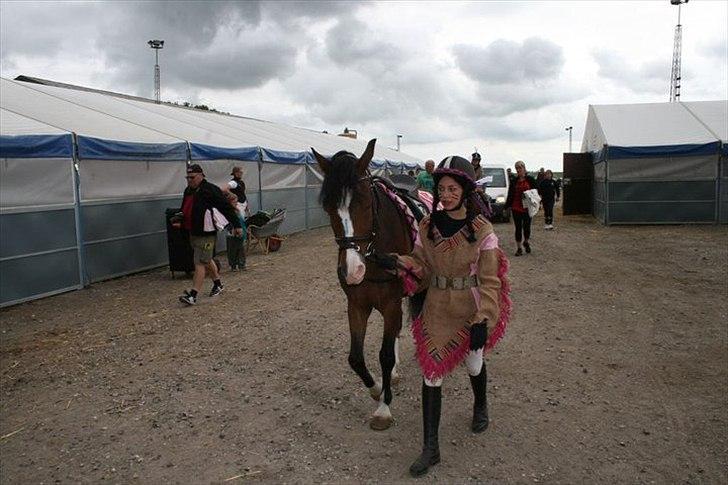 Anden særlig race Victor! billede 18