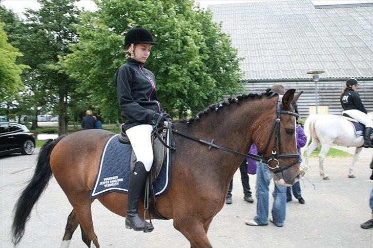 Anden særlig race Victor! billede 19