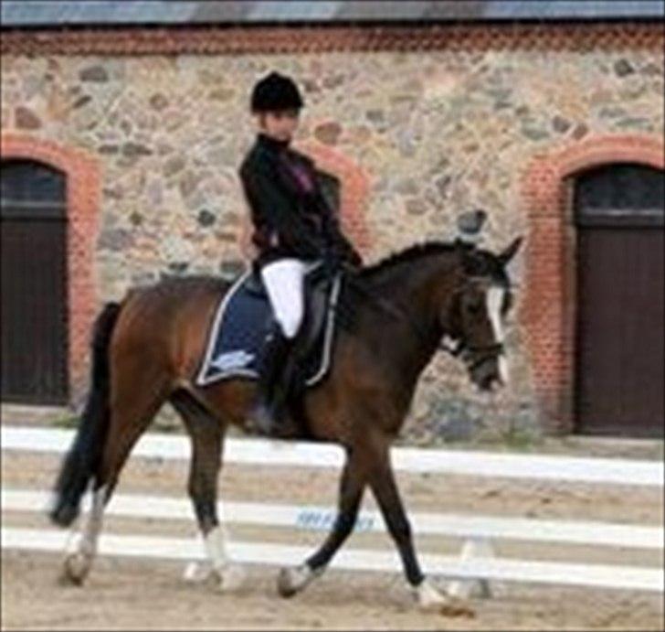 Anden særlig race Victor! billede 20