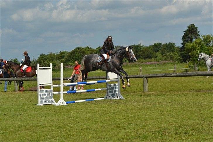 Holstener Carla billede 19