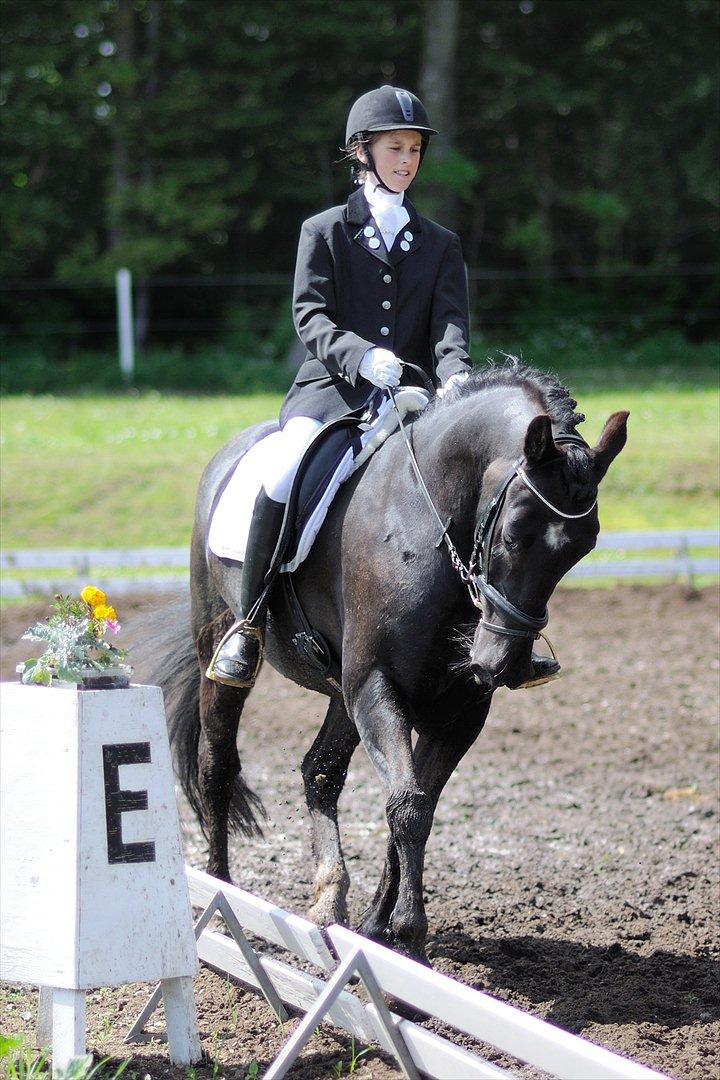 Anden særlig race Whisky<3 - Velkommen til Whiskys profil!:)
Mig pg Whisky i en LC2...
Elsker diig pony<3 billede 1