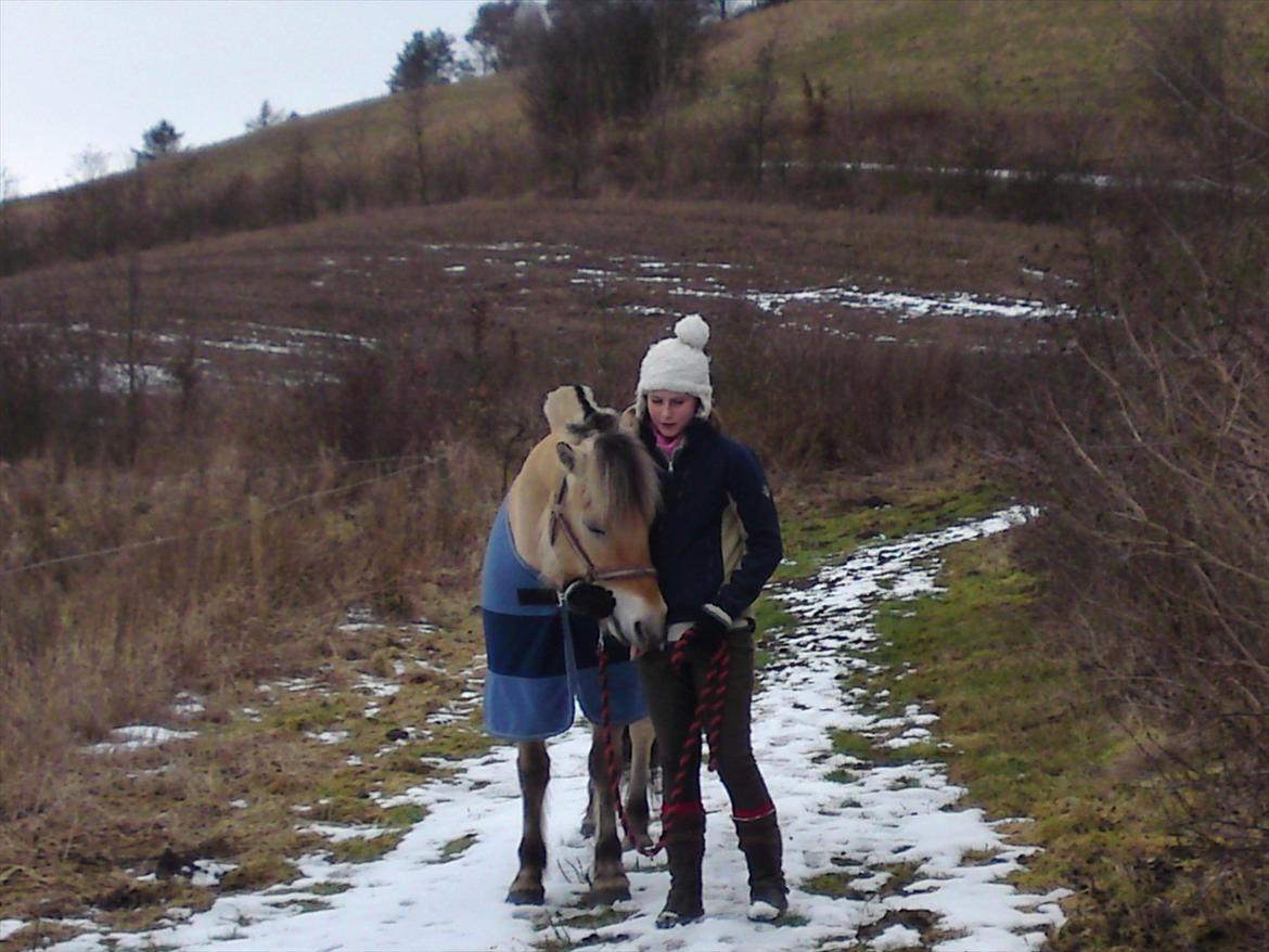 Fjordhest Lady - LadyDyret<3 ;b - 13) Mit ynglings vinter billede, med mig og Lady! <3 billede 13
