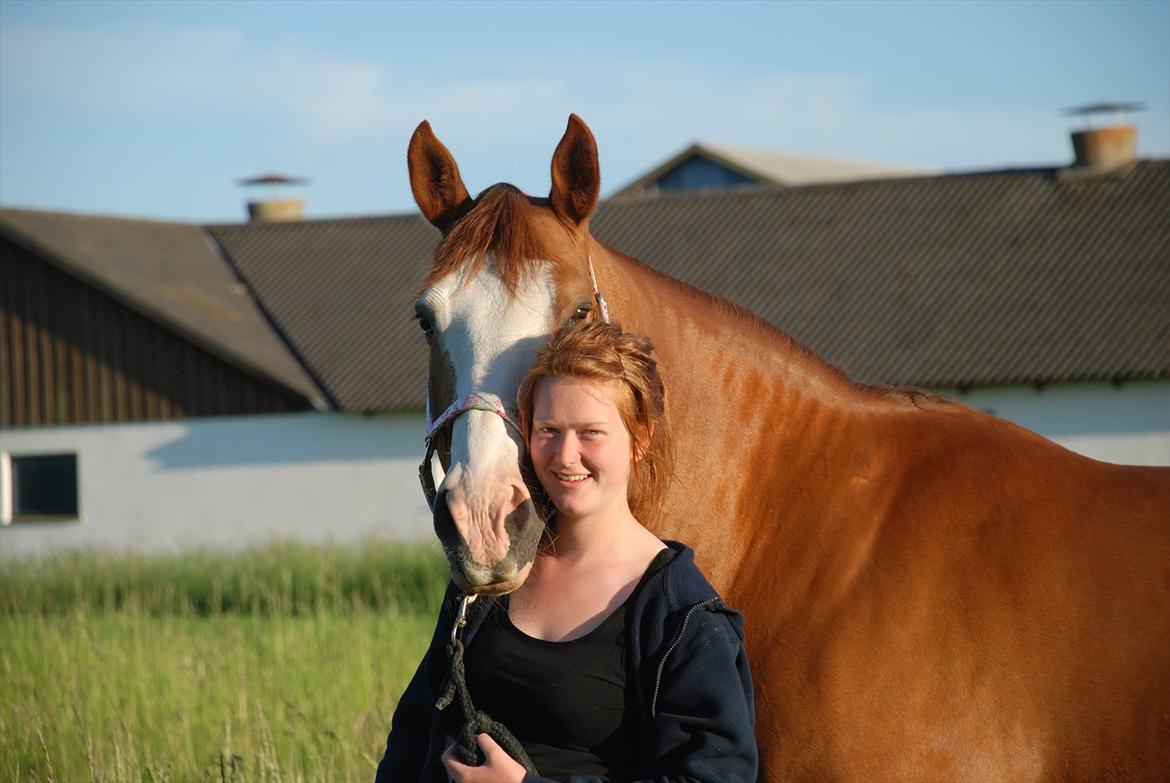 Anden særlig race Salome billede 1