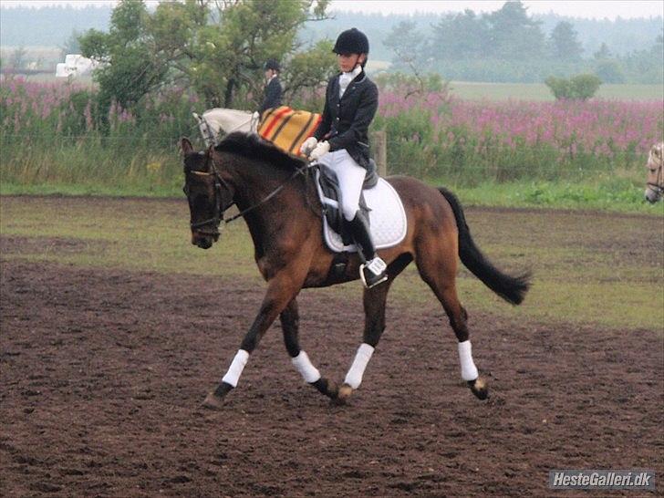 Traver Office Max - Hodsager stævne mig og Office på opvarmningsbanen! billede 17