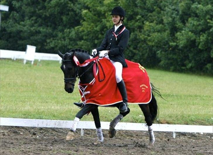 DSP Græsmarkens Major B-pony - foto Sanne Svendsen billede 15