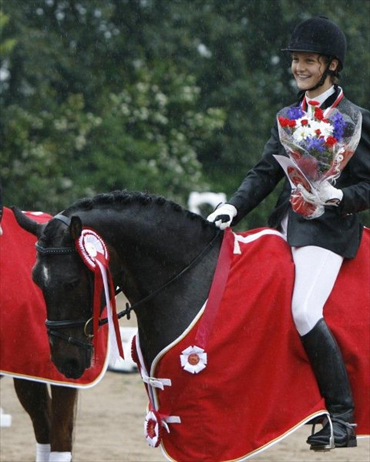 DSP Græsmarkens Major B-pony - foto Sanne Svendsen billede 1