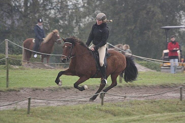 Islænder Atlas frá Keldudal - Galop - DM i gæddingakeppni 2010 billede 9