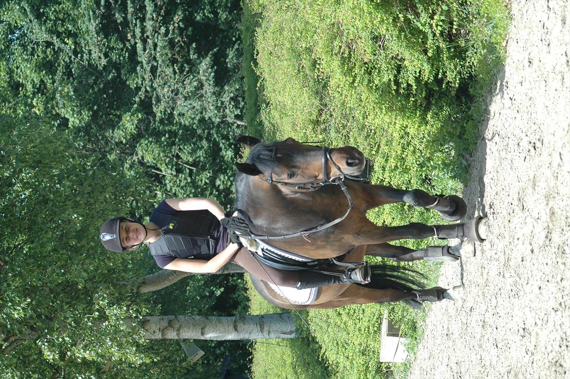 New Forest Nyskovens Antares - Og vi skridter så af her...
Farvel og på gensyn! billede 18