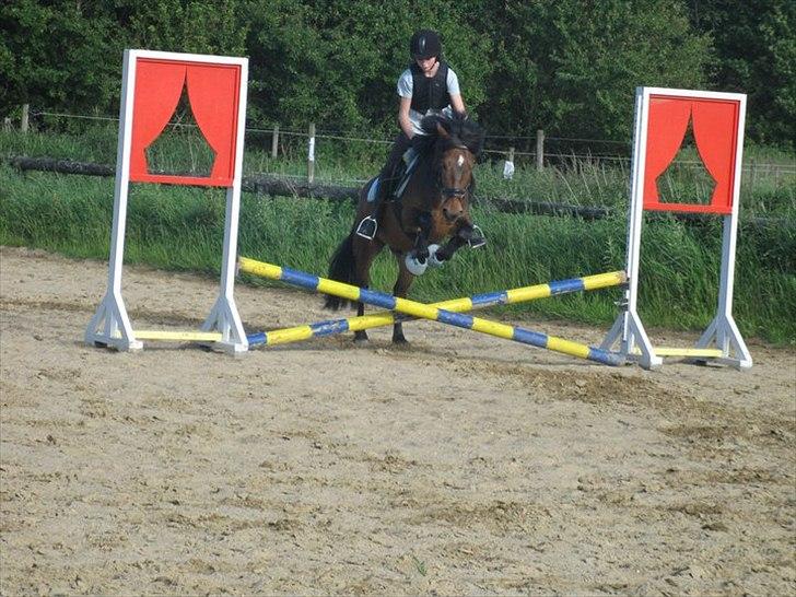 Anden særlig race Nemo - Sidste springtime inden sommerferien :) billede 4