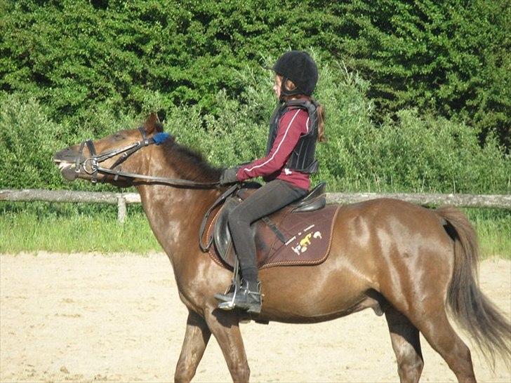 Anden særlig race Buster - Buster og hans nye part. :D billede 19