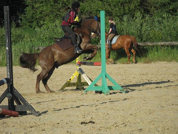 Anden særlig race Buster - Buster og hans nye part. :D billede 5