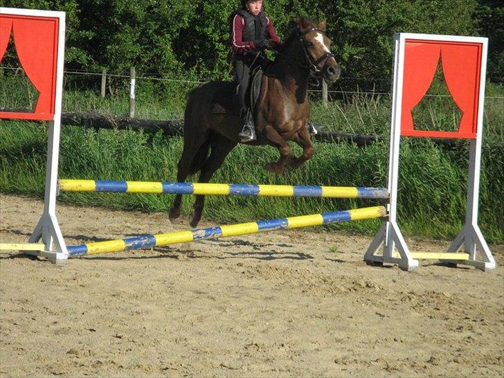 Anden særlig race Buster - Buster og  nye part. :D
 billede 14