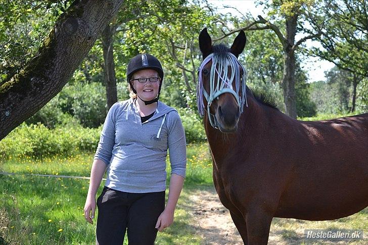 Anden særlig race Nikoline *SOLGT* - Taget af Mette Madsen :P billede 16