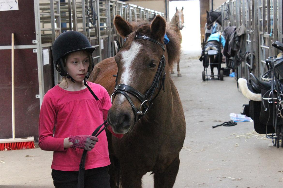 Anden særlig race Buster - Sara (nye part) og Buster billede 11
