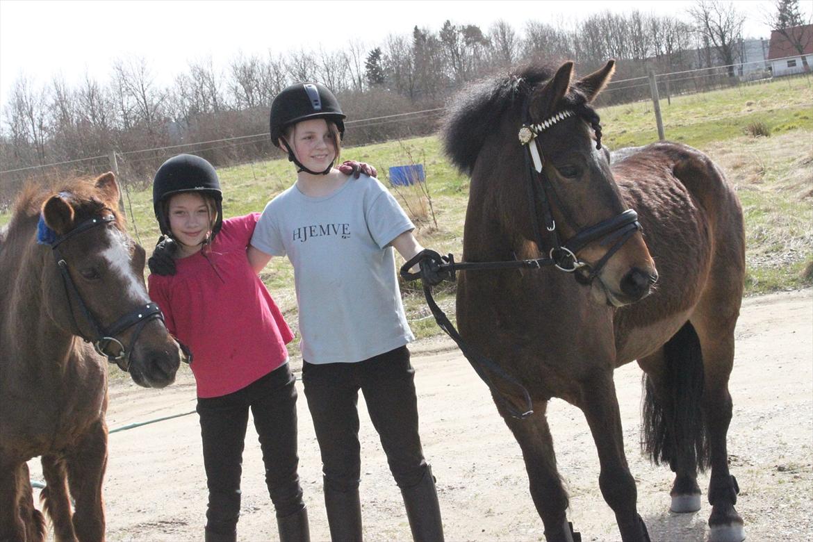 Anden særlig race Buster - Fra venstre Buster, Sara, Hanna (mig) og Nemo billede 8