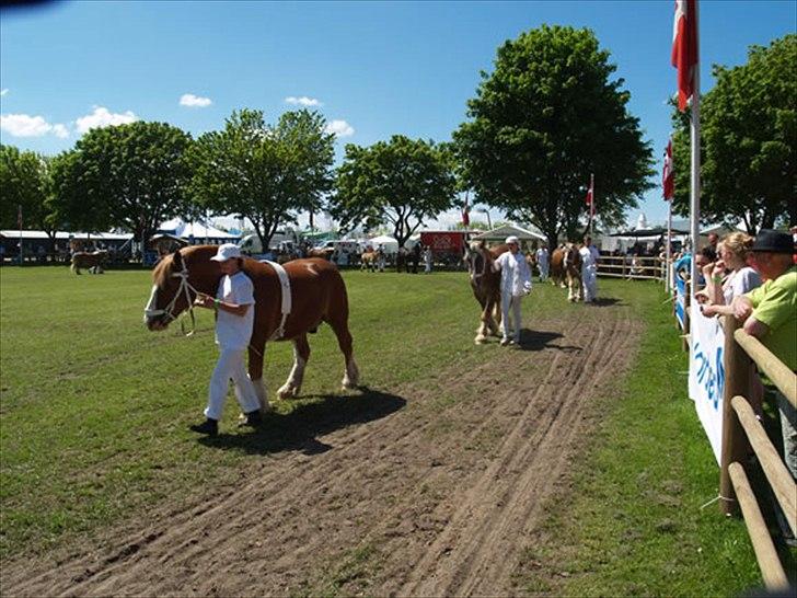 Jyde Holger - The Ground on which we stand is sacred ground. It is the dust and blood of our anecestors ... A few more passing suns will see ud here no more, and our dust and bones will mingle with these same prairies. billede 3