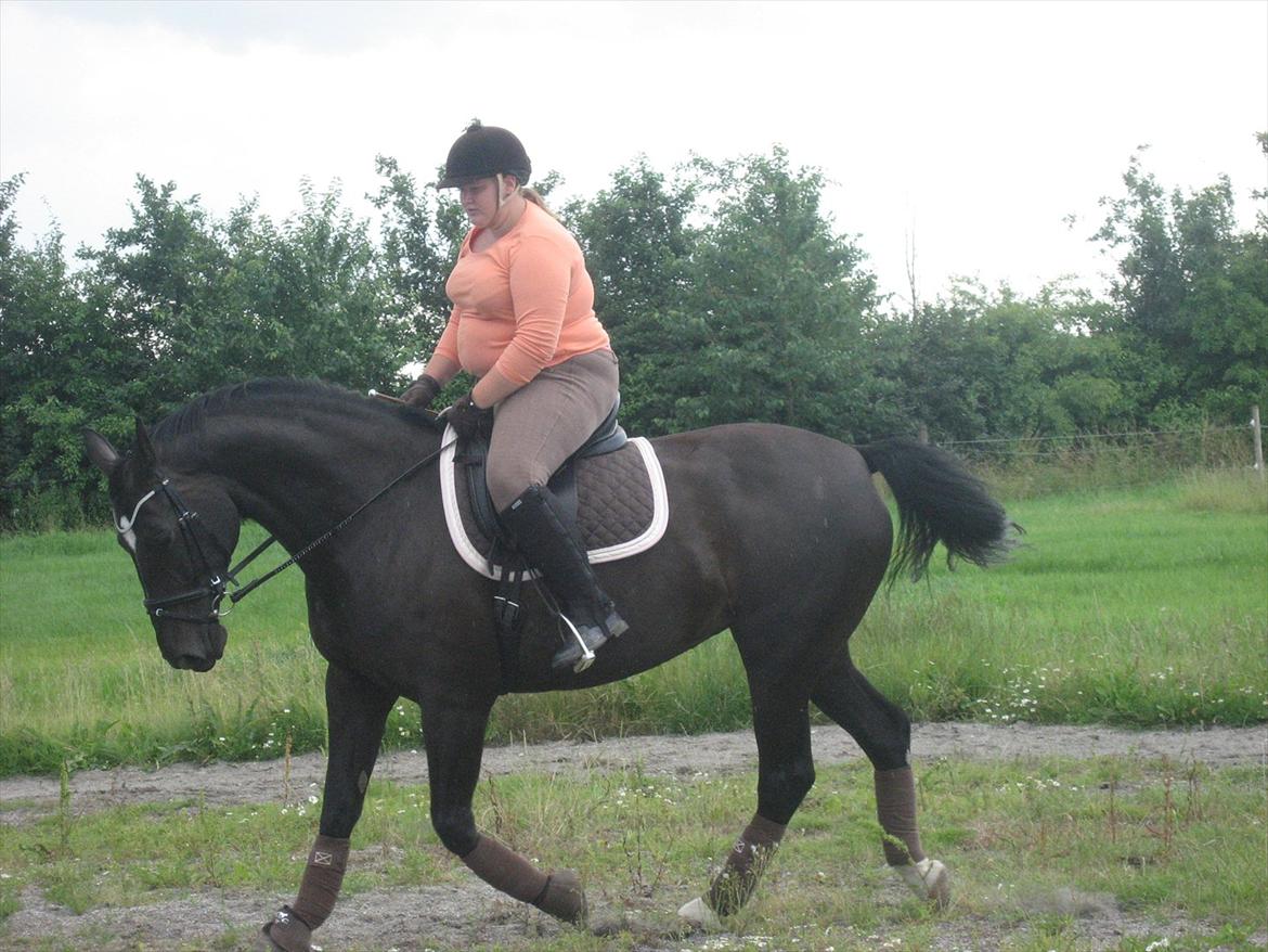 Anden særlig race Kiki Dee billede 9