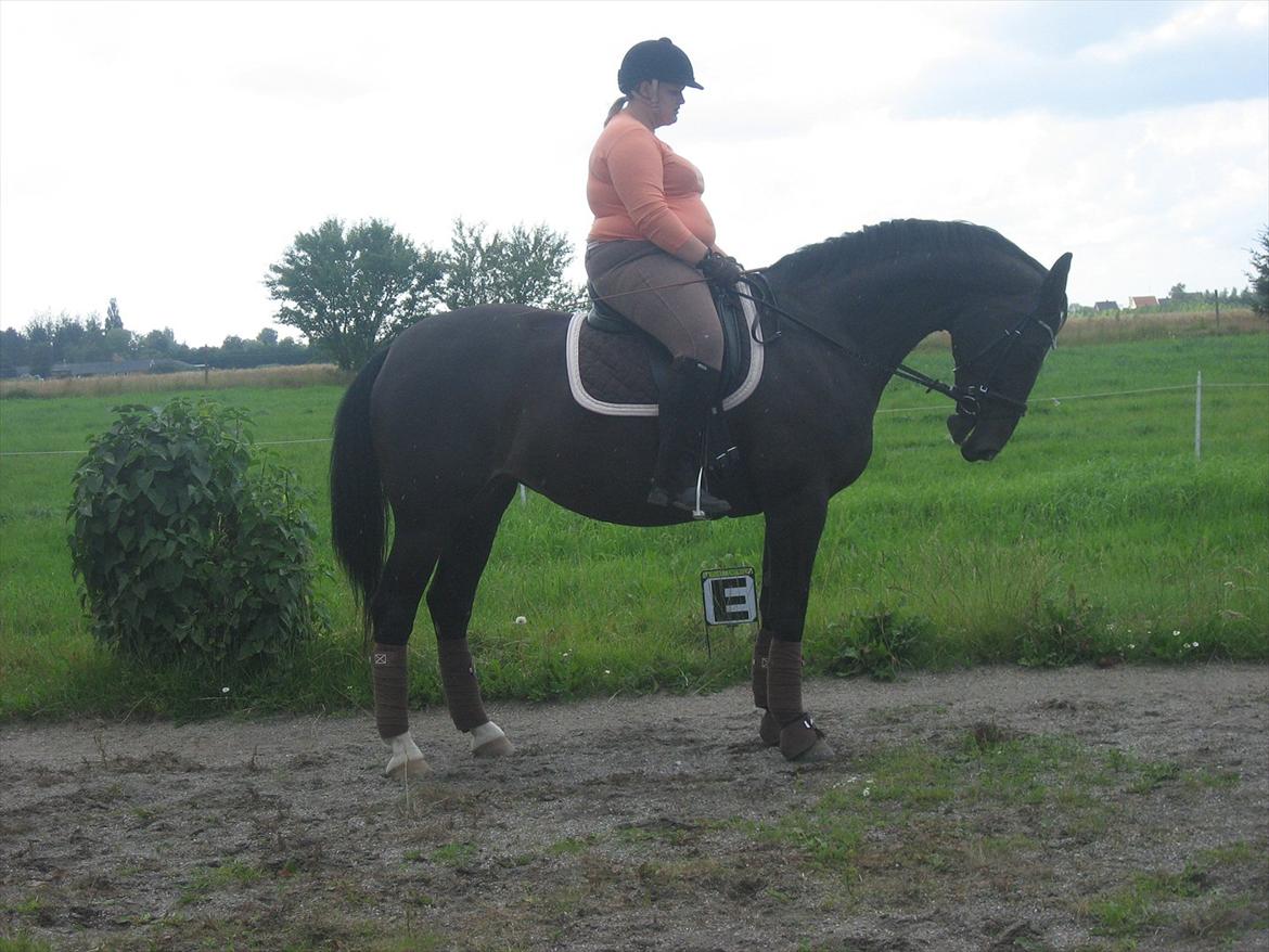 Anden særlig race Kiki Dee billede 11