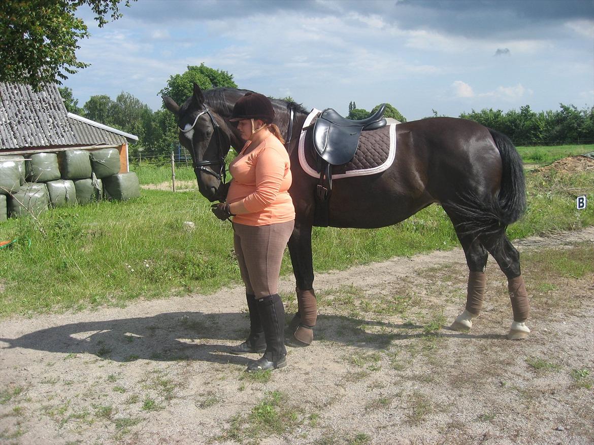 Anden særlig race Kiki Dee billede 13