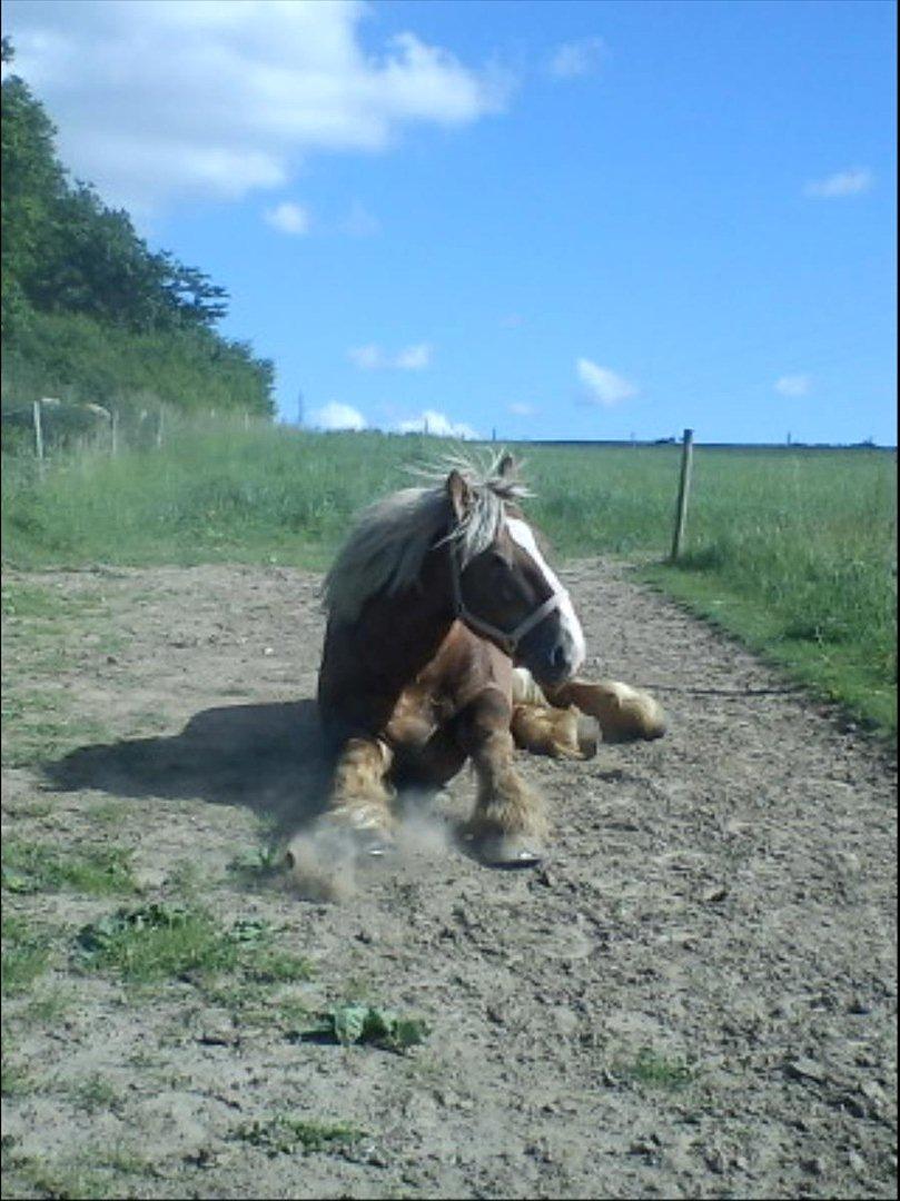 Jyde Holger billede 6