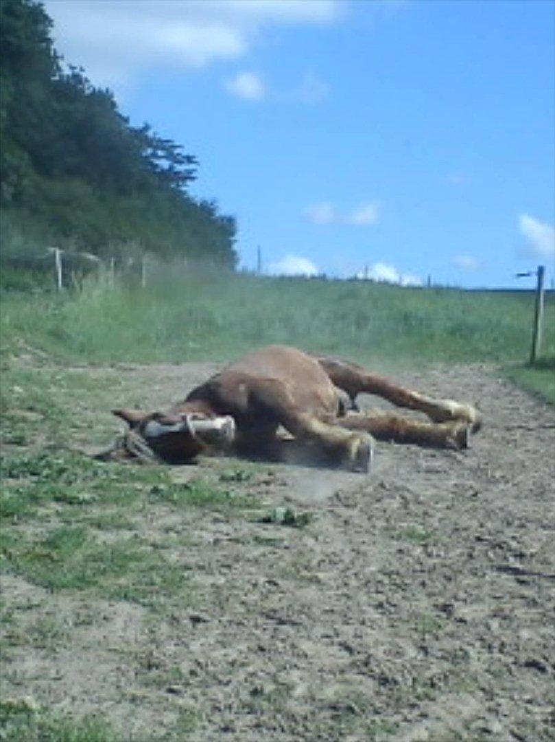 Jyde Holger - May the great sprit watch over this house as long tge grass grows and the water flows.

- Indian blessing billede 7