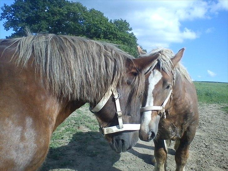 Jyde Holger - Sprit of the Eagle, grant this prayer: That all may live in harmony and peace reign everywhere.

Indian prayer for peace.. billede 8