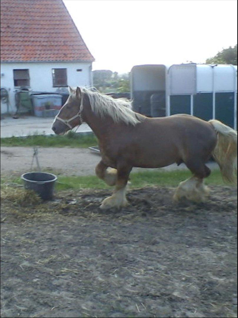 Jyde Holger - What is our life? It is the sparkle of a firefly in the night if is the breafh from a buffalo in a winter's morning. If is the shadow flying over the prairie turf disappering in the sunset.

Crowfoot's last words.  billede 10