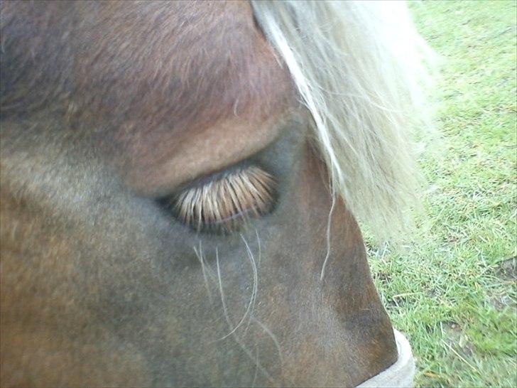 Jyde Holger - I close my eyes for the world, and open my eyes for you ;*<3 billede 12