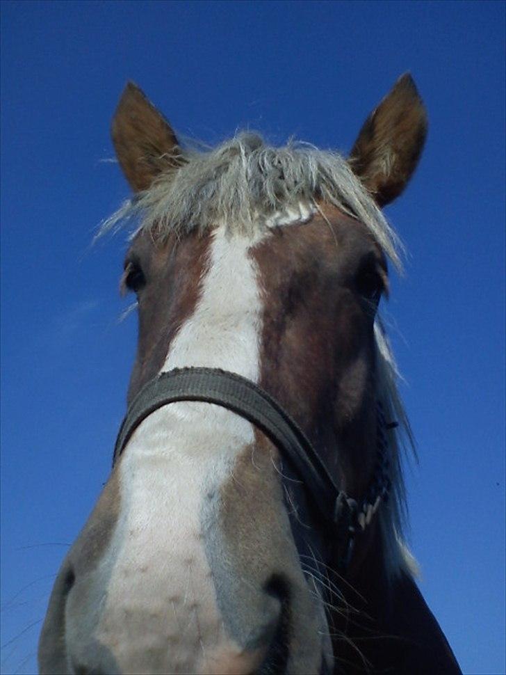 Jyde Holger - When you find the one who moves in step with you sets the peace with you, and looks forward to the same brigth furture. billede 13