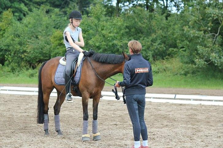 DSP <3 Aslie B-Pony <3 - Vibsen, Aslie og jeg :-)
Billede: Ida Nielsen billede 3