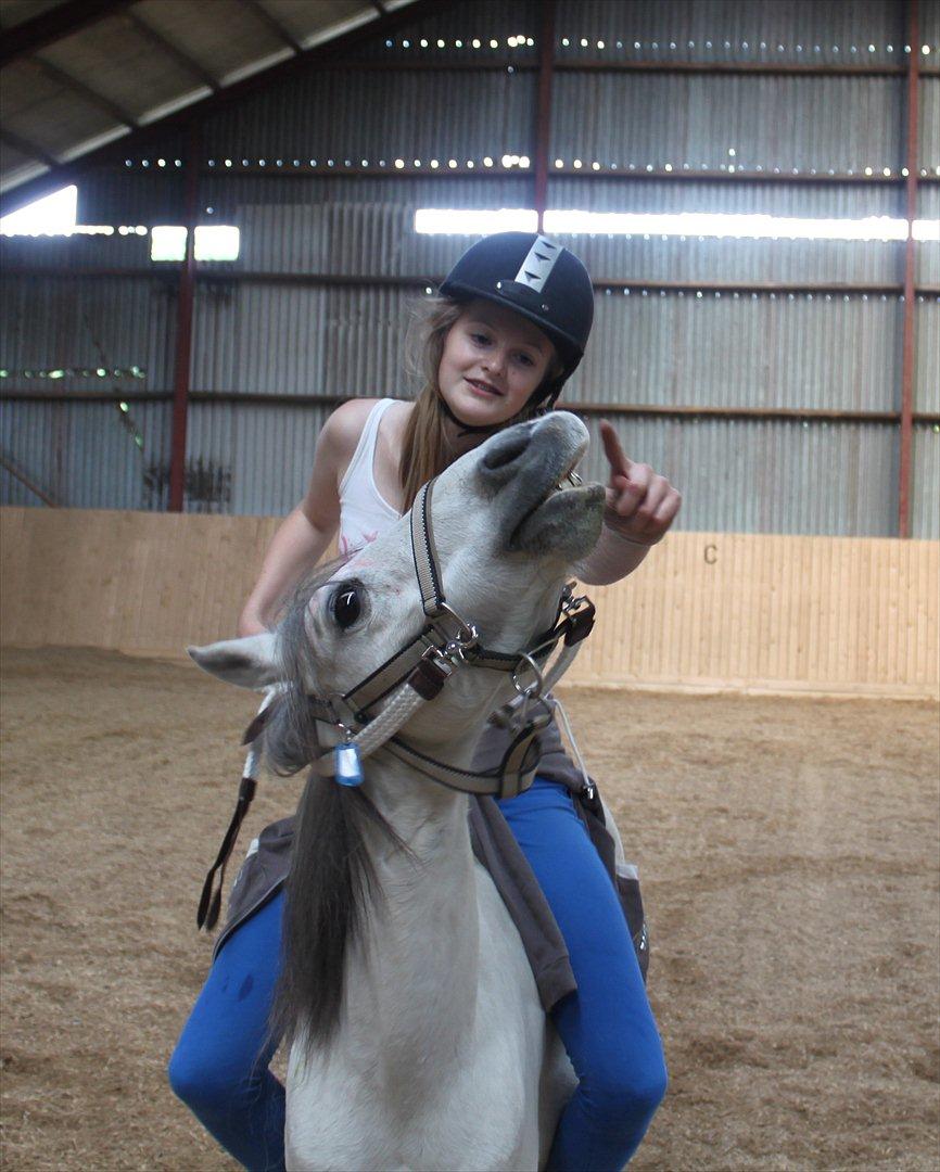 Kaspisk hest Rosmear Aram | Geden/Æsel - Smile på kommando fra ryggen - Andrea M. Dragsdahl billede 6