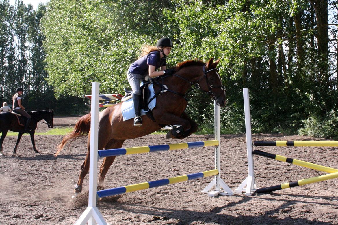 Anden særlig race Felicia - D.11.07.2011 Spring på grusbanen, hun var super :D vi sprang lidt LD højde  billede 4